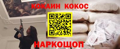 шишки Шелехов