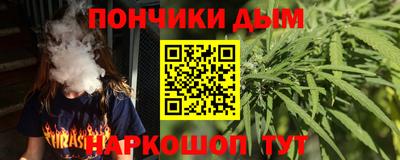 шишки Шелехов