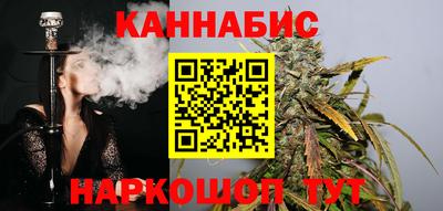 шишки Шелехов