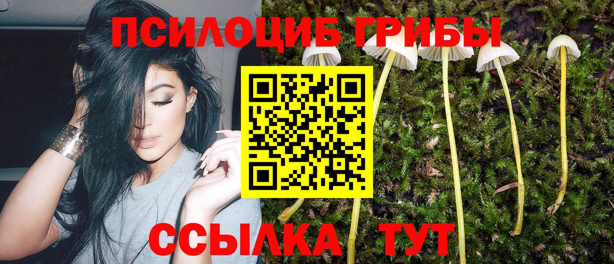 Галлюциногенные грибы Cubensis  Вход с VPN  Амурск 
