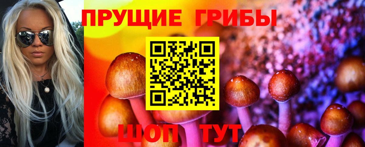 Псилоцибиновые грибы GOLDEN TEACHER Амурск
